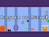 Kingdom of Ninja 3 image