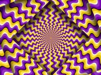 Optical Illusion image