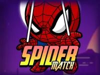 Spider Match image