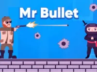 Mr Bullet image