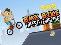 Bmx Bike Freestyle  amp; Racing image